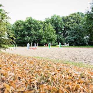 Reitplatz im Herbst