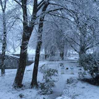 Garten im Winter