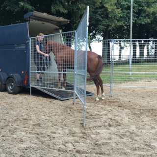 Verladetraining am Reitplatz