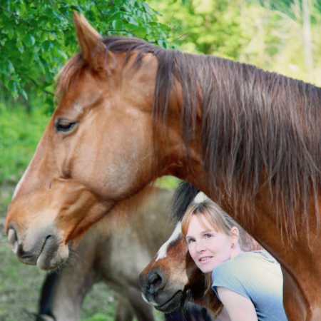 Gut-Scheidt.de | Leistungen Gut-Scheidt.de | Leistungen