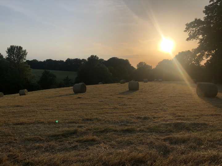 Abendsonne über unserer Heuwiese... | Gut Scheidt<br />
Sabine & Bastien Angemeer | Aktuelle Nachrichten Aktuelle Nachrichten | Abendsonne über unserer Heuwiese...